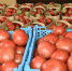 Фермерам Кубани помогут реализовать сельхозпродукцию - Газета Свет маяков